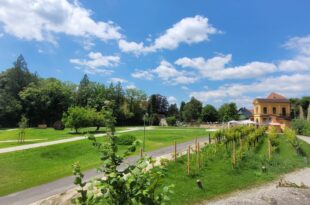 Natur erleben beim perfekten Vereinsauflug in der Landesgartenschau